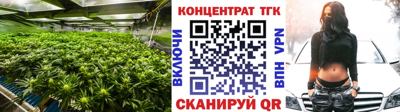 мега ССЫЛКА  купить  сайты  Дмитровск  Дистиллят ТГК THC oil 