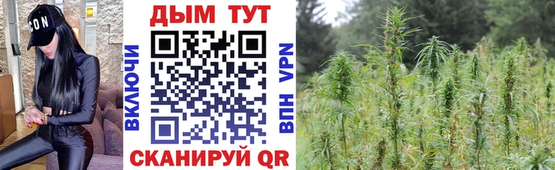 Марихуана ГИДРОПОН  ссылка на мегу ссылка  Дмитровск 